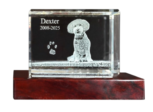 3D Crystal Rectangle 3DC-RECH or 3DC-RECV