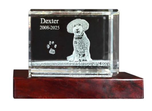 3D Crystal Rectangle 3DC-RECH or 3DC-RECV